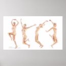 Search for anatomy posters Bones