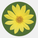 Search for isoler stickers Nature