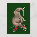 Search for tricycle postcards Funny