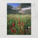 Search for expansive postcards Expanse