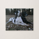 Recherche de great dane puzzles Dog