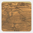 Search for mar stickers Exploration