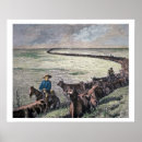 Search for longhorn cattle posters America