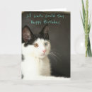 Search for funny cat sayings cards Sarcastic