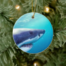 Search for jaws ornaments Underwater