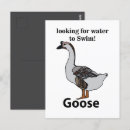 Recherche de klaxon cartes postales Oiseau