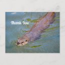 Search for river otters postcards Water
