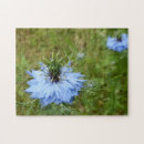 Search for cornflower puzzles Nature