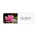 Search for lillies return address labels Flower