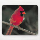 Search for bird perched on tree mousepads Wildlife