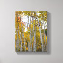 Search for birch tree canvas prints Trees
