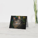 Search for maine coon cat birthday cards Kitty