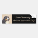 Search for bernese bumper stickers Bernese mountain dog