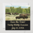 Search for yellowstone invitations Wildlife