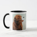Search for brown nose mugs Outdoors