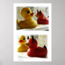 Recherche de canard en caoutchouc posters Photographie