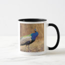 Search for peacock pictures mugs Animal