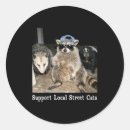 Search for funny skunk stickers Raccoon