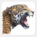 Search for jaguar stickers Panthera onca