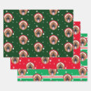 Search for german shepherd christmas wrapping paper Pet
