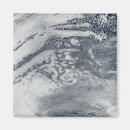 Search for cells magnets White