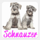 Search for mini schnauzer stickers Puppy
