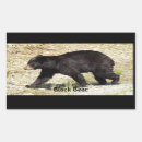 Search for black bear stickers Wilderness