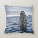Search for humpback whale pillows Sea life