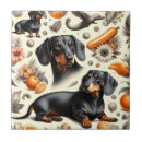 Search for dachshund tiles Pets