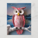 Search for fantasy owl postcards Bird