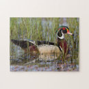 Search for danita delimont puzzles Fauna