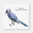 Recherche de geai bleu magnets Nature