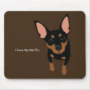 Recherche de goupille minimum électronique Pinscher miniature