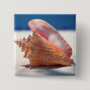 Search for shell beach buttons Horizontal
