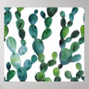 Search for crazed Pattern