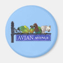Recherche de aviaire Avenue