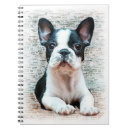 Search for french bulldog notebooks dogs