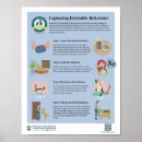 Recherche de comportement de chien posters Animal