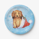 Search for dachshund christmas plates Doxie