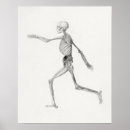 Recherche de anatomique posters Anatomie