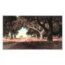 Recherche de très bien posters Moderne