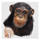 Recherche de chimpanzés posters Chimpanzé mignon