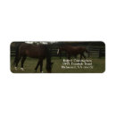 Search for fence return address labels Farm