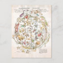 Search for antique constellations postcards Astronomy