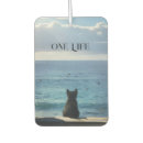 Recherche de beau voiture accessoires Chat