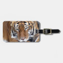 Search for tiger luggage tags Photograph