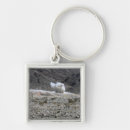 Recherche de chars porteclés Explosion