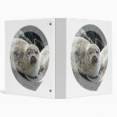 Search for seals binders Wildlife