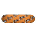 Search for butterfly skateboards Funny