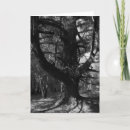 Recherche de 1963 cartes postales Photographie